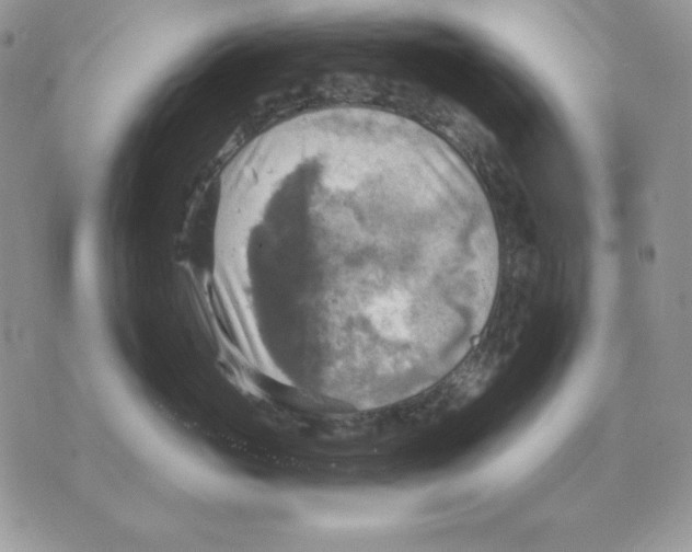 X0000070360765200607072103