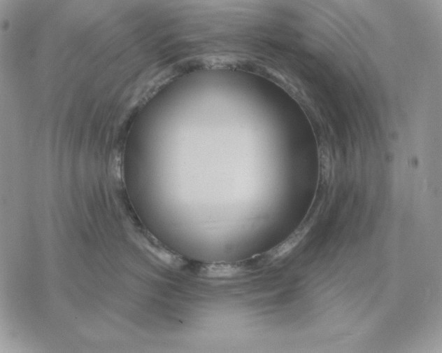 X0000070360766200607072103