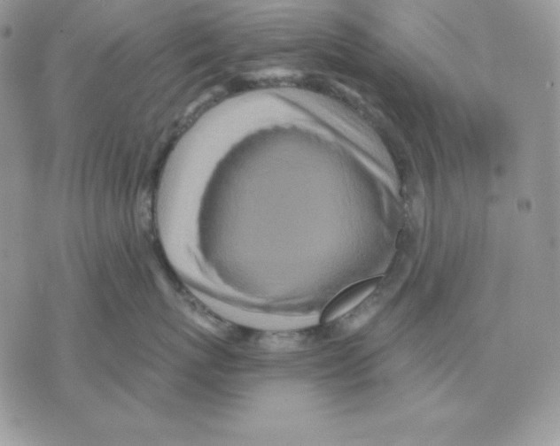 X0000070360767200607072103