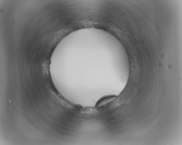 X0000070360768200607072103