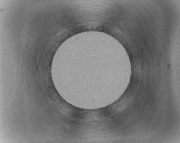 X0000070360769200607072102