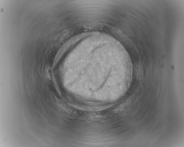 X0000070360770200607072102