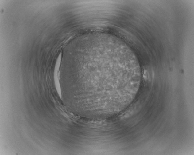 X0000070360771200607072102