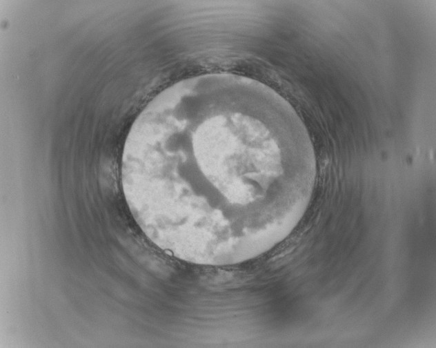 X0000070360772200607072102