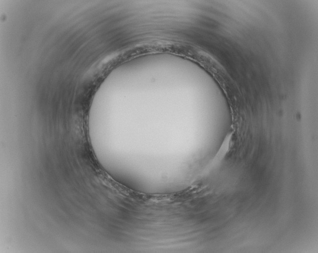 X0000070360773200607072102