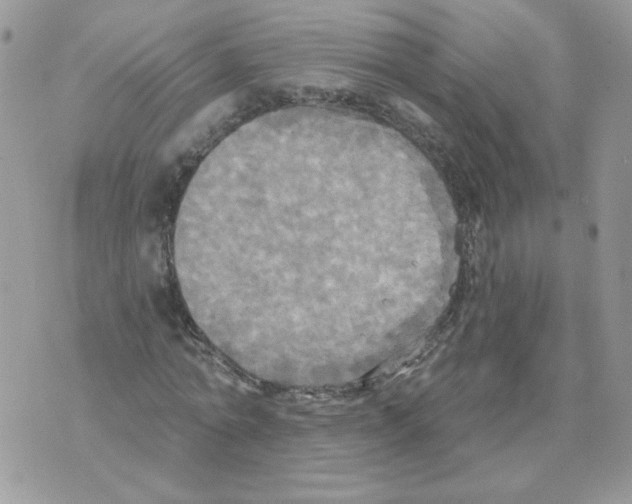 X0000070360774200607072102