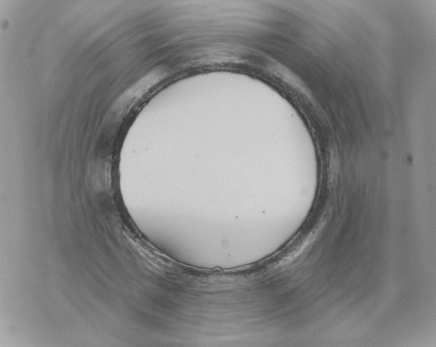 X0000070360777200607072102