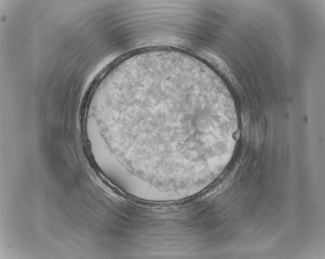 X0000070360780200607072102