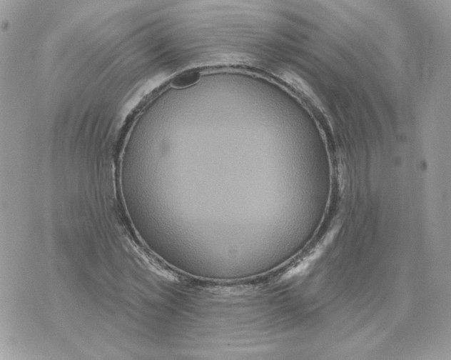 X0000070360781200607072102