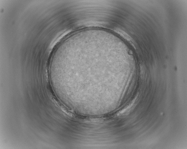 X0000070360782200607072102