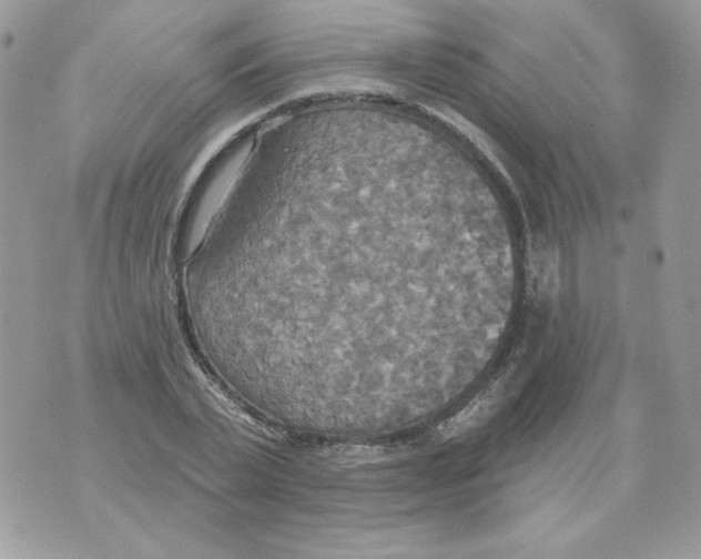 X0000070360783200607072102