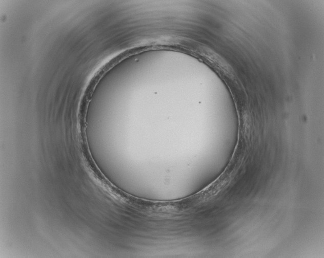 X0000070360784200607072102