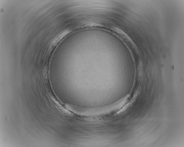 X0000070360785200607072102