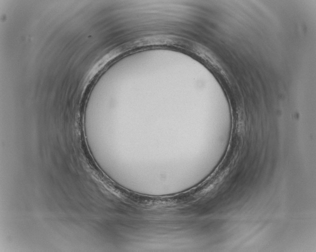 X0000070360786200607072102