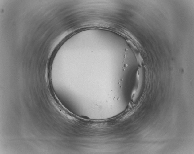 X0000070360788200607072102