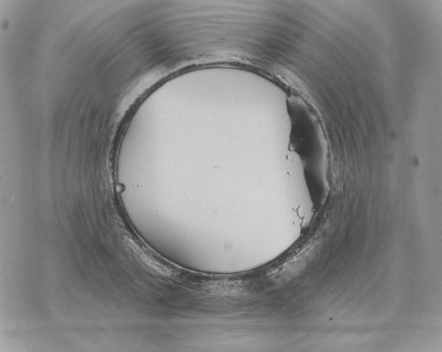 X0000070360789200607072102