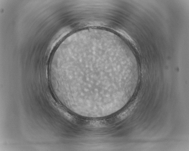 X0000070360790200607072102