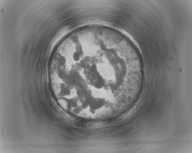 X0000070360791200607072102