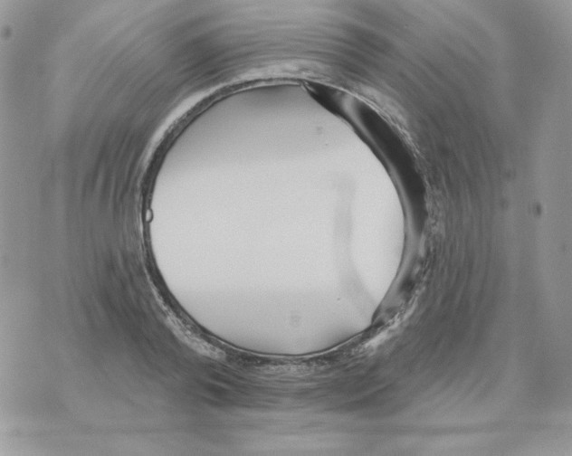 X0000070360792200607072102