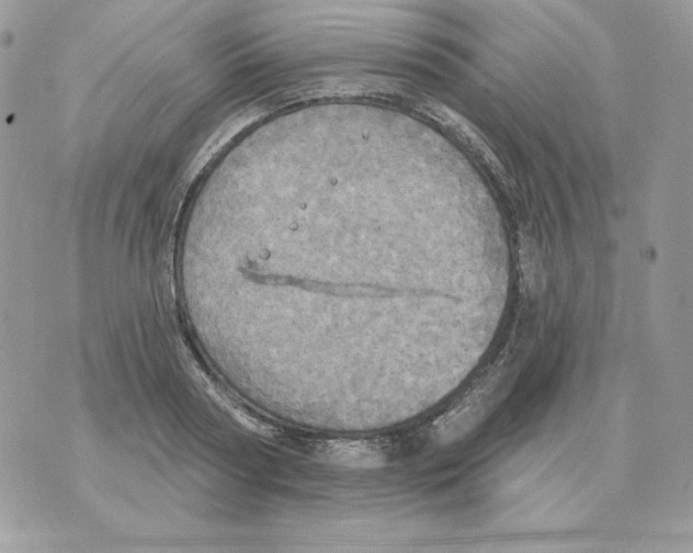 X0000070360794200607072102