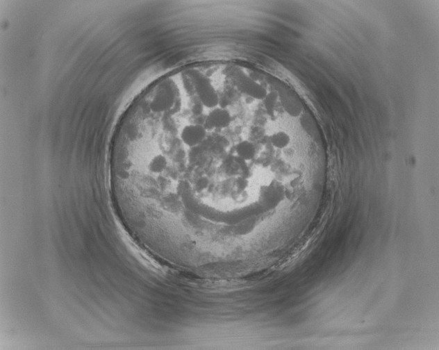 X0000070360795200607072102