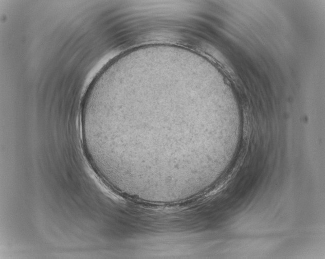 X0000070360796200607072102