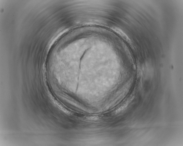 X0000070360798200607072102