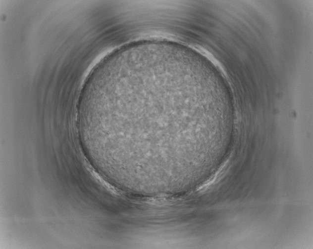 X0000070360799200607072102