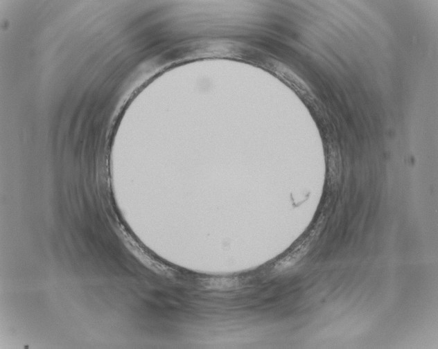 X0000070360800200607072102