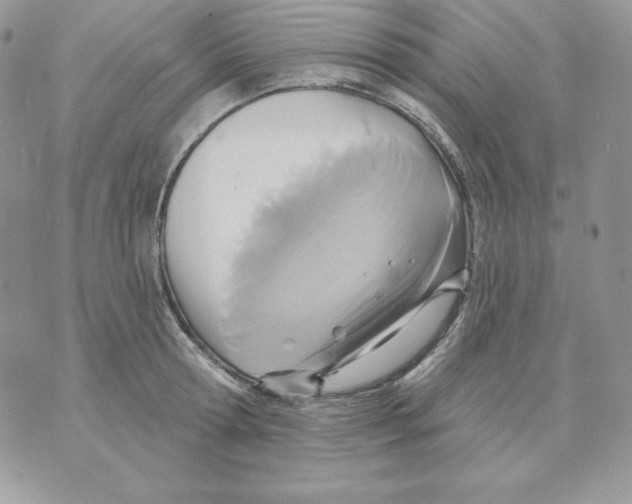 X0000070360802200607072102