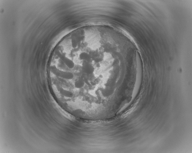 X0000070360803200607072102