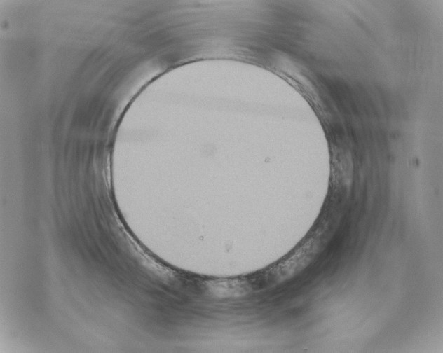 X0000070360804200607072102