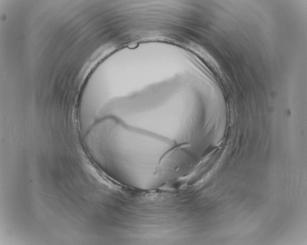 X0000070360806200607072102