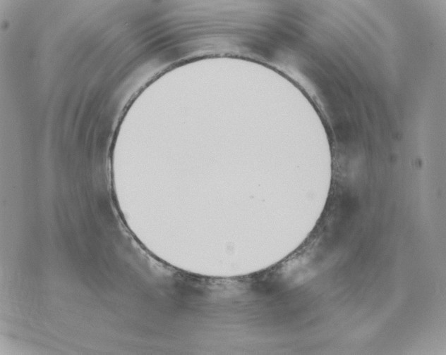 X0000070360807200607072102