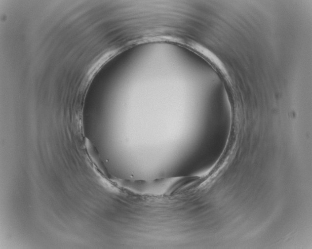 X0000070360809200607072102