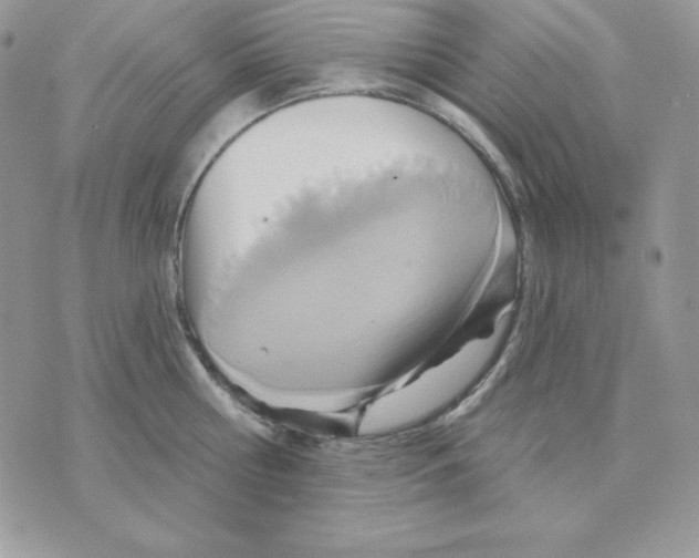 X0000070360810200607072101