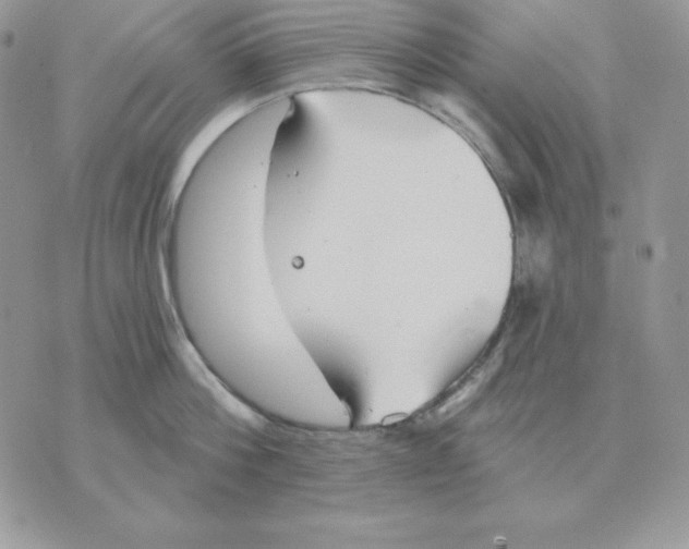 X0000070360812200607072101