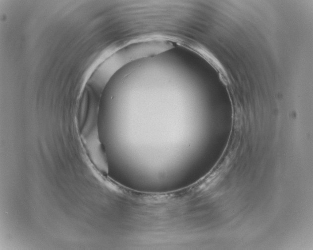 X0000070360813200607072101