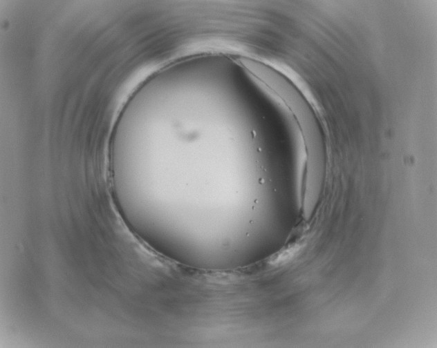 X0000070360815200607072101