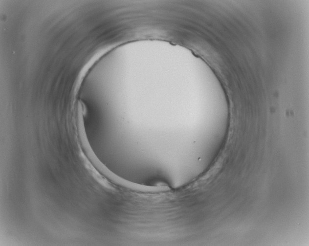 X0000070360816200607072101