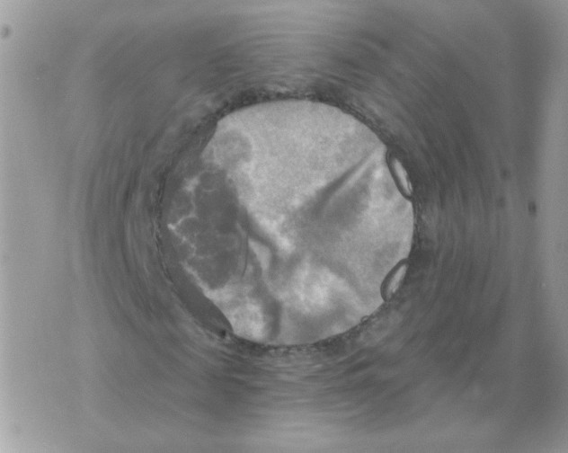 X0000070360817200607072101