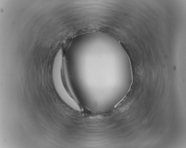 X0000070360818200607072101