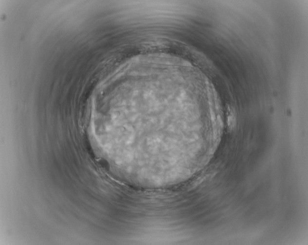 X0000070360819200607072101