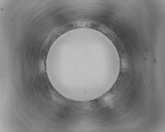 X0000070360820200607072101