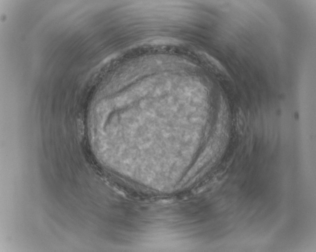 X0000070360821200607072101