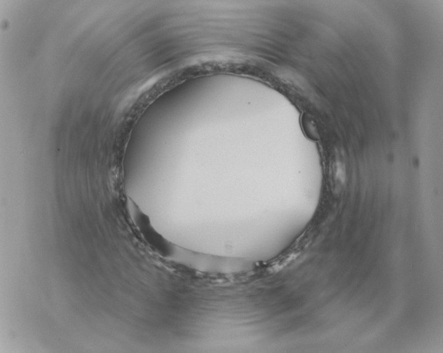 X0000070360822200607072101