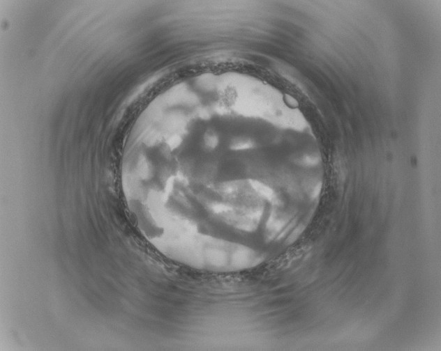 X0000070360823200607072101