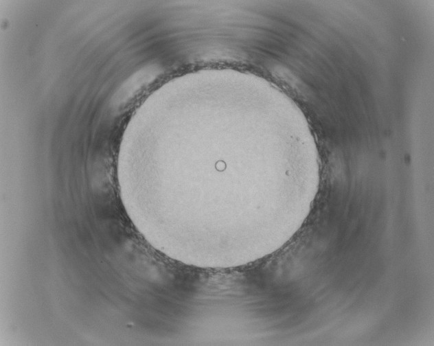 X0000070360824200607072101