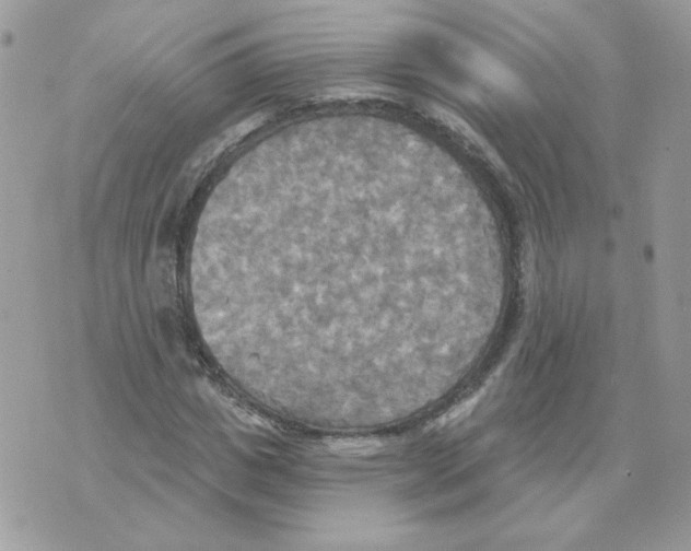 X0000070360825200607072101