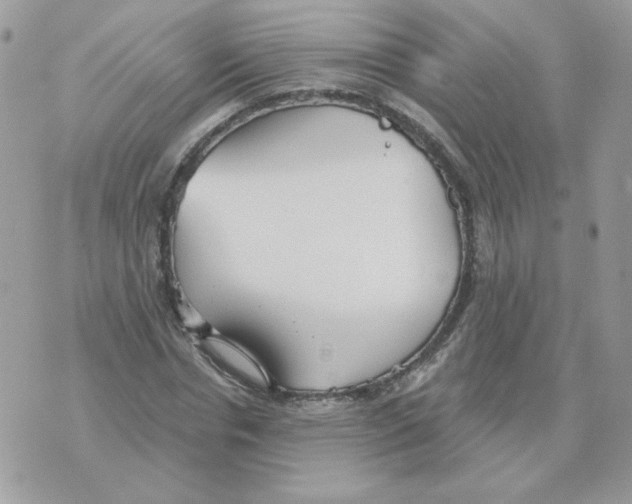 X0000070360826200607072101